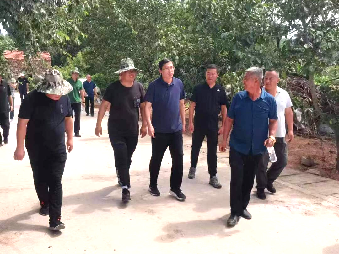 青岛市黄岛区大村镇推动农村人居环境综合整治工作提质增效