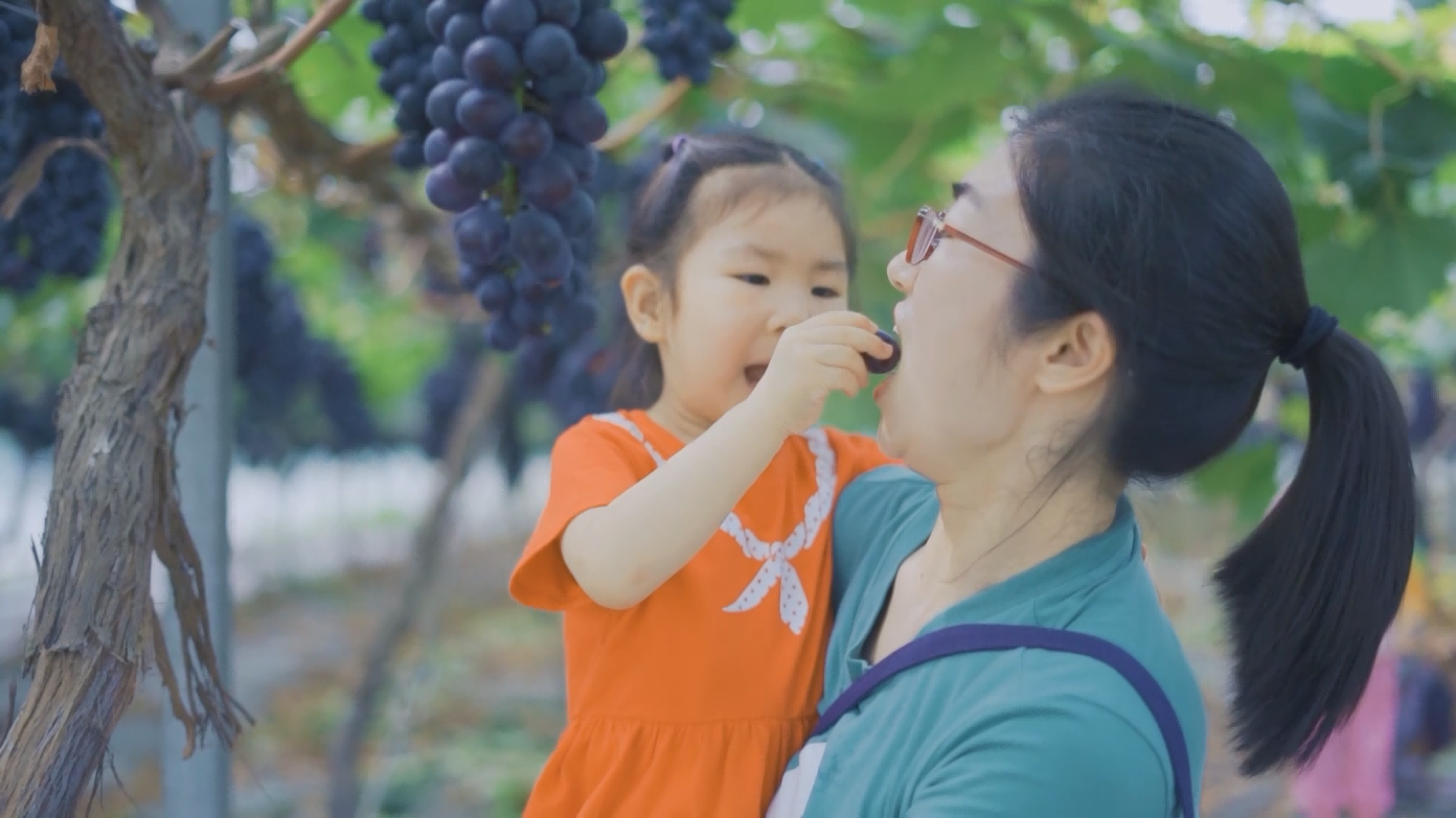 江苏盐城盐都区潘黄街道：做好农文旅融合文章 激发乡村振兴新活力