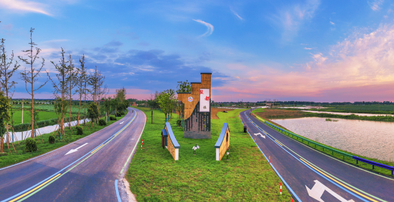 打造“四好农村路”高质量发展样板，江苏盐城盐都区铺坦途为乡村振兴赋能提速