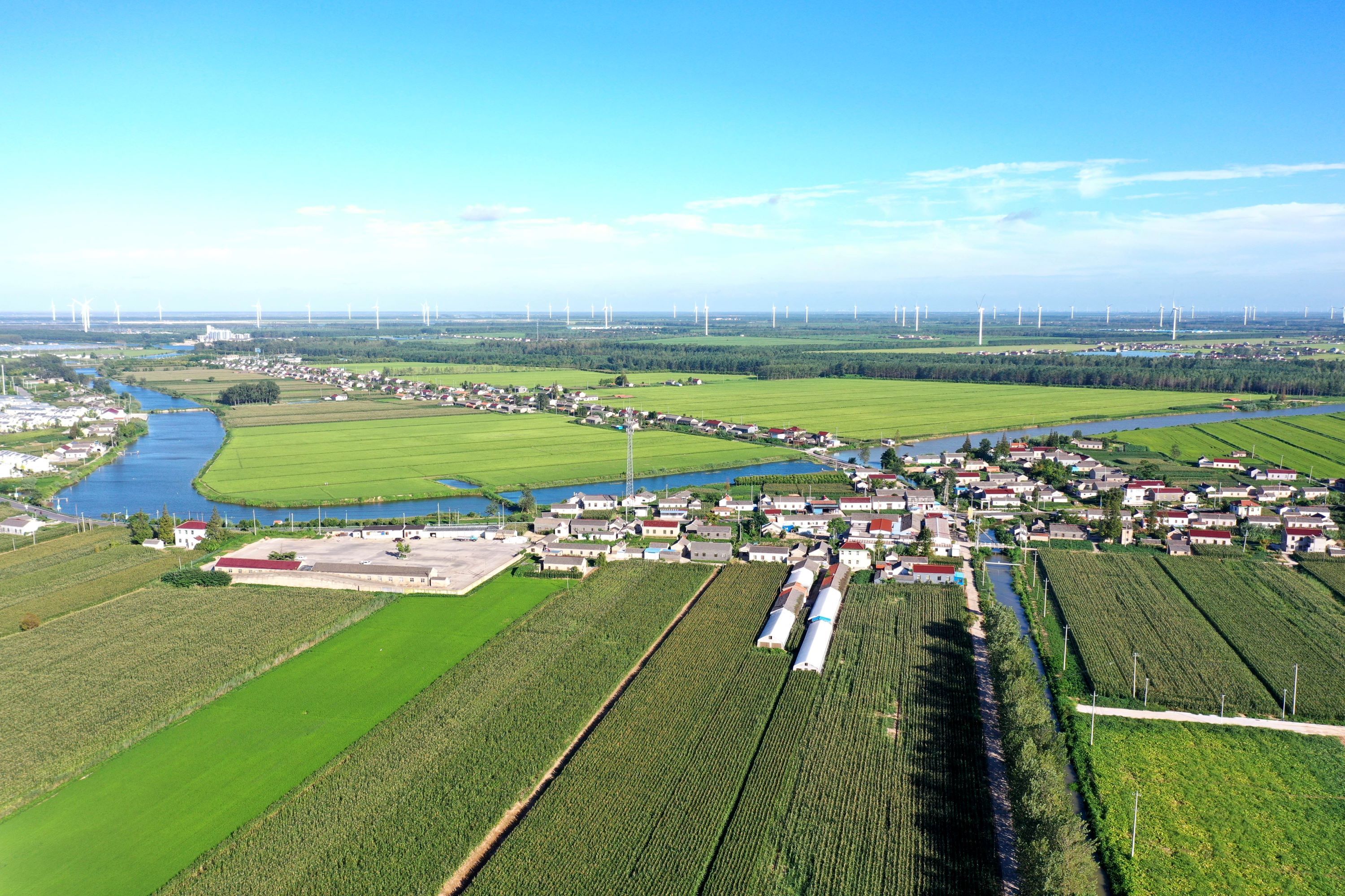 江苏盐城大丰三龙镇：聚力人居环境提升 绘就和美乡村画卷