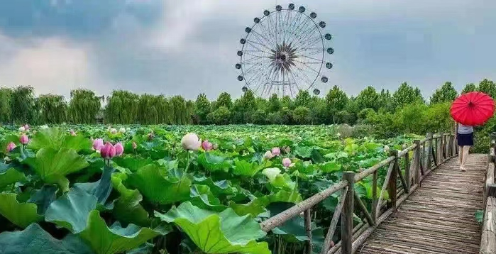 绿满沂蒙花满村