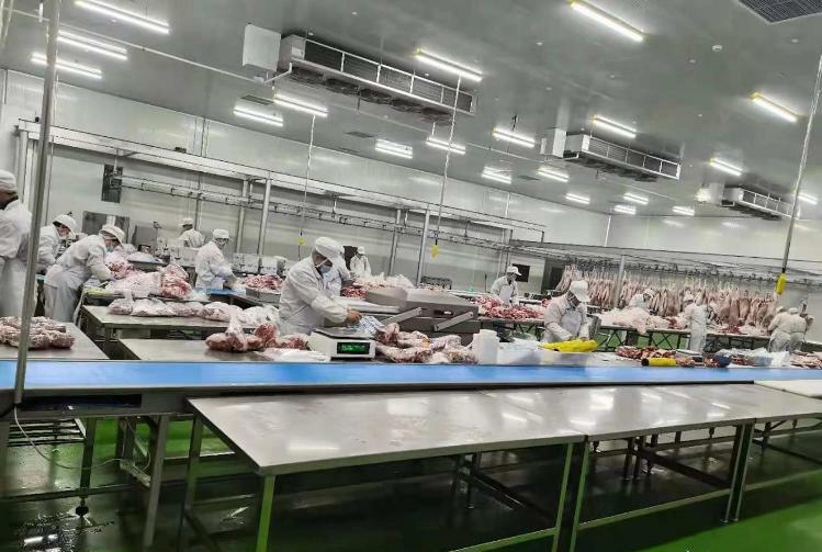 助力牛羊养殖，助推乡村振兴