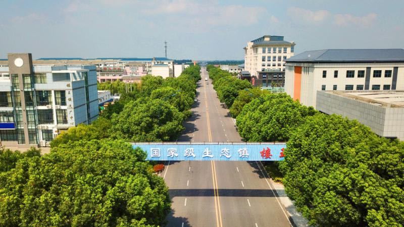 江苏盐城盐都楼王镇：推进农村人居环境整治 打造和美乡村