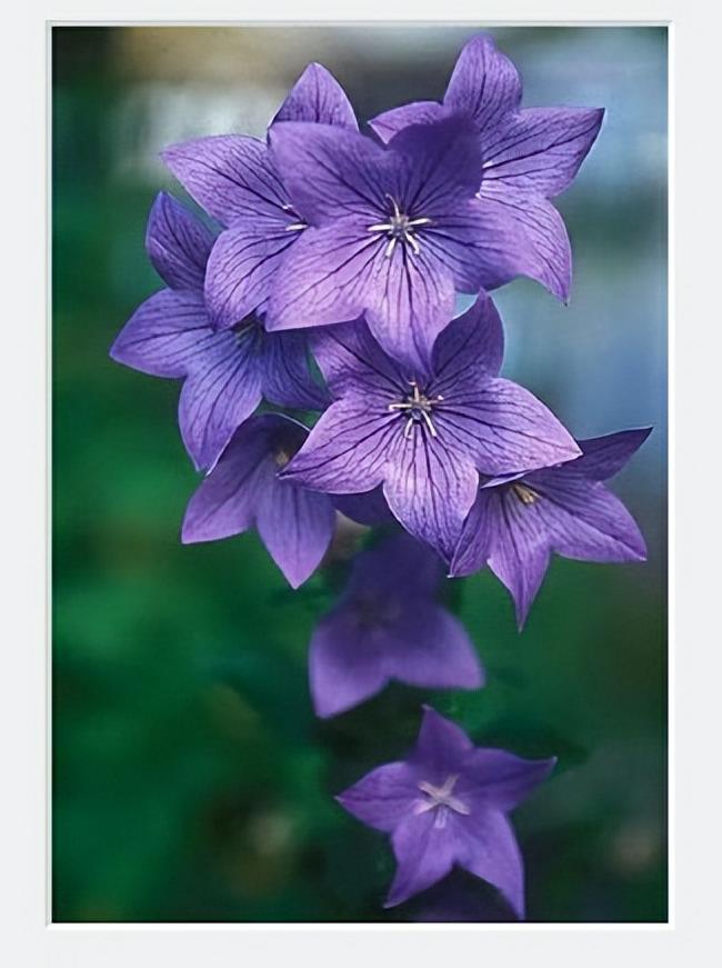 “学习强国”进校园，激发学习新动能