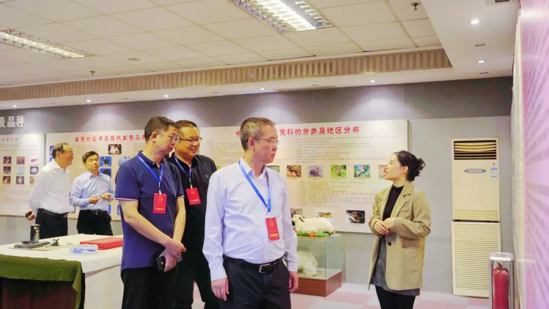 青岛市黄岛区人大常委会副主任曲波一行到滨海街道调研