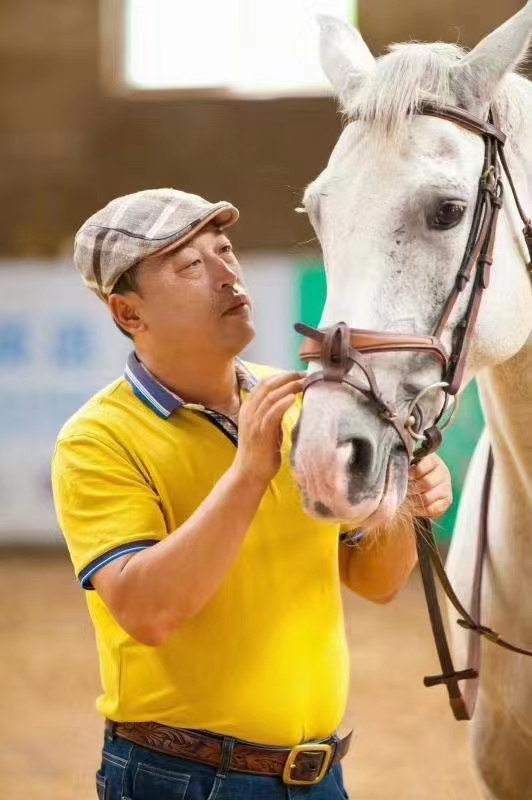 青岛展艺马术运动俱乐部全线开放，引领马术新热潮