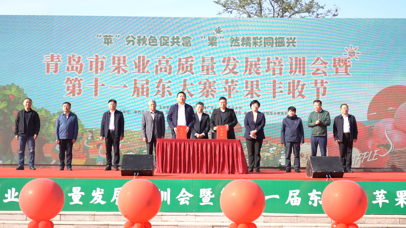 青岛莱西市河头店镇：三个维度探索党建统领乡村发展新路径