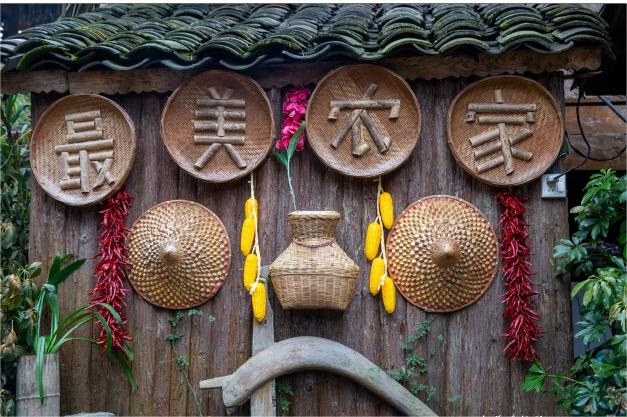 王伟强：“金面条”成就乡村致富路