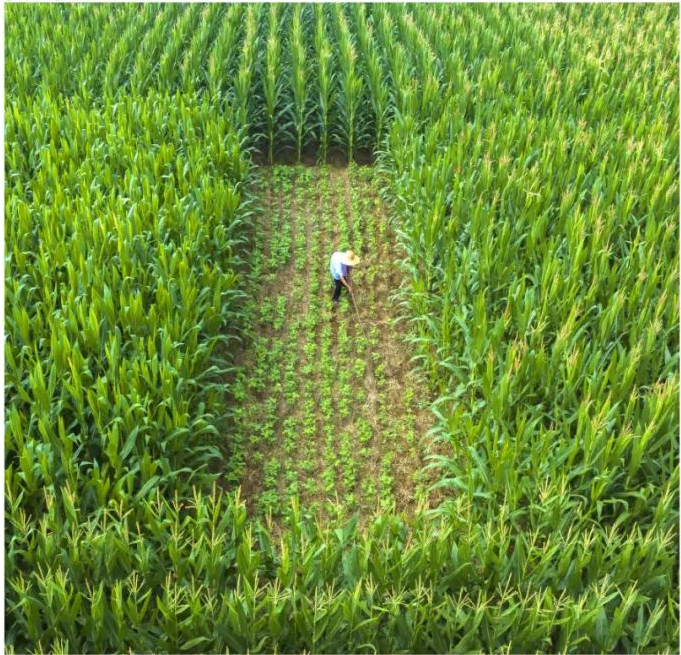 山东兰陵县农业农村局：打造“党建+”特色品牌 跑出攻坚创效“加速度”