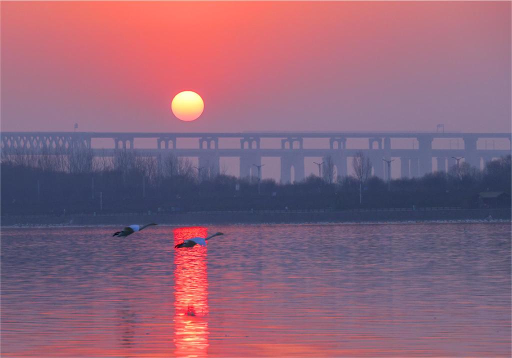 山东兰陵县：志愿服务暖人心 文明实践树新风