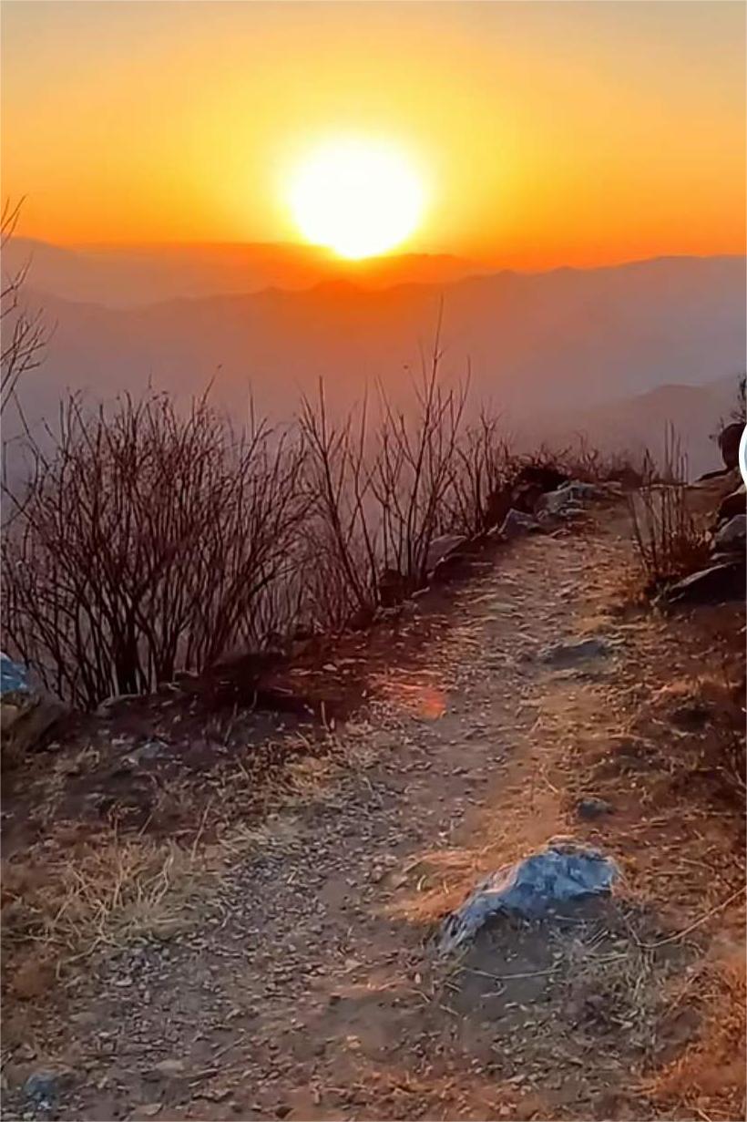 山东兰陵县：强村公司第一步铺就6条民生路