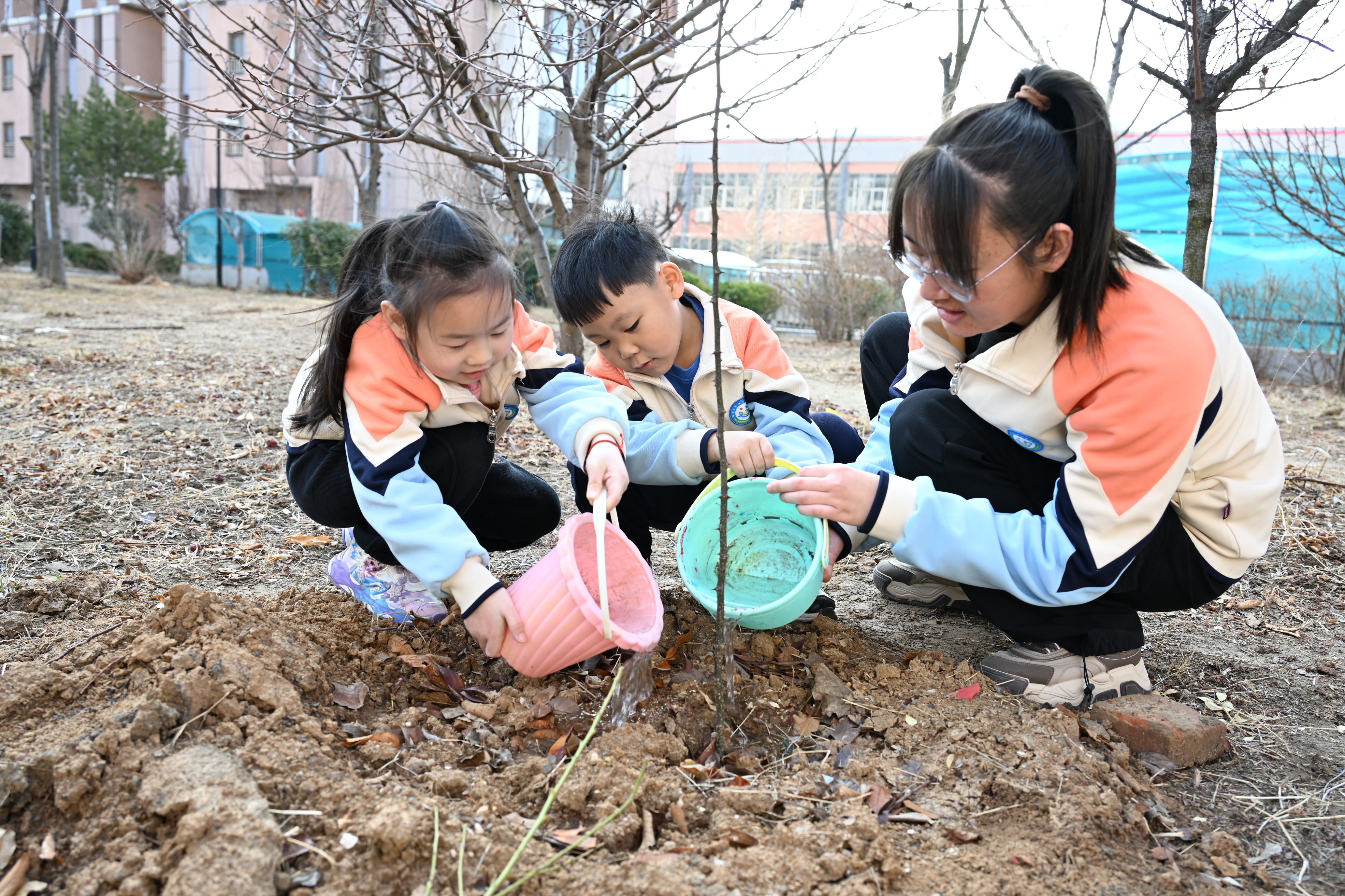 山东即墨：我为春日添新绿