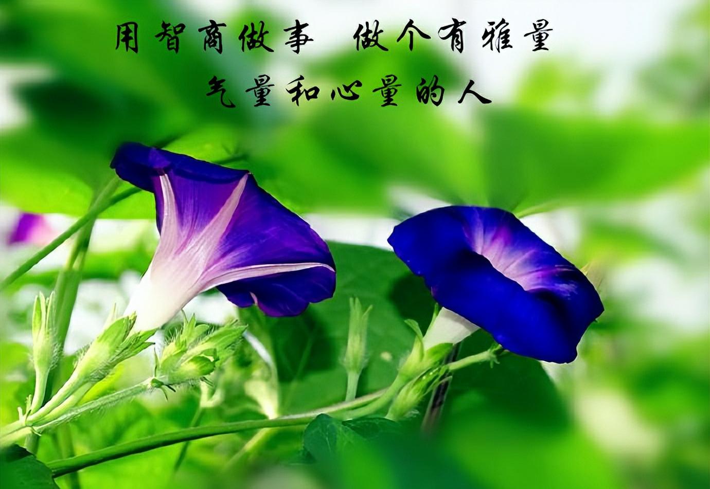 山东临沂河东：“政企会客厅”办企业大事