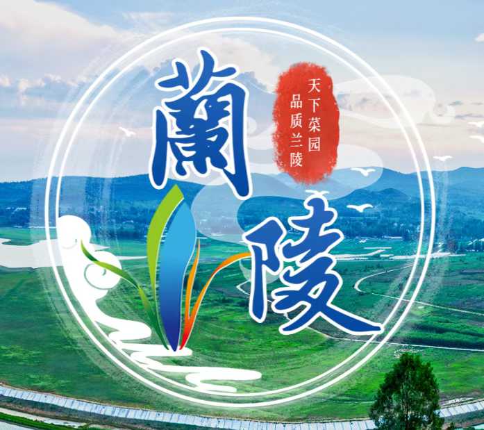 山东兰陵：农文旅融合型乡镇的破圈实践