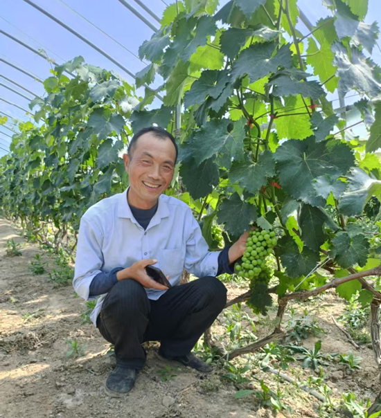 从上访户到致富领路人：高从虎的华丽转身