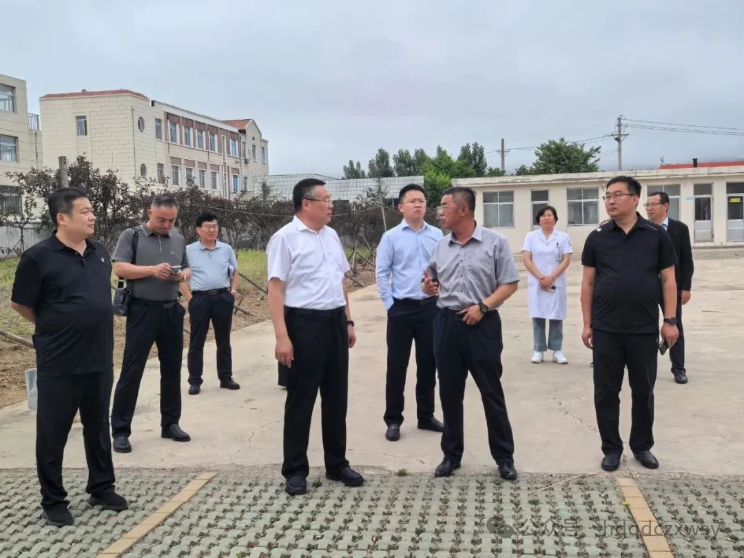 调研指导强根基  协同发展促提升