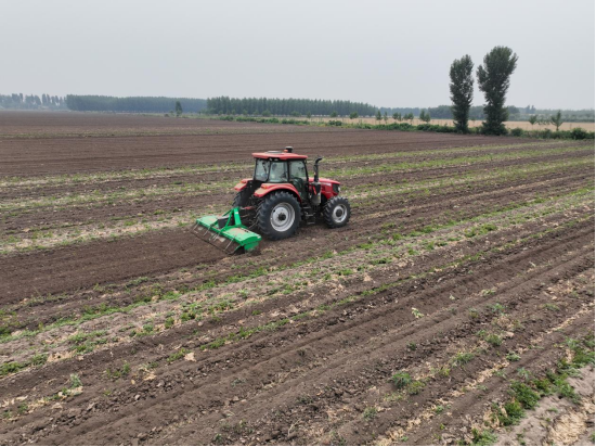 山东即墨：抢抓农时忙夏种
