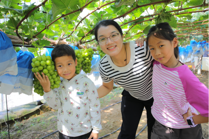 乡聚前河 共富新程 2025大场镇田园音乐节圆满落幕和美乐章奏响乡村振兴“共富新篇”