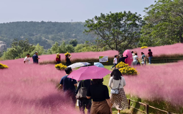 画美达尼青岛市乡村振兴片区：国庆假期吸引游客13万人次，农文旅融合点燃乡村消费热