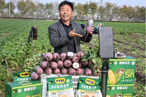 山东即墨：“冰激凌”萝卜迎来丰收 “网红”书记直播助农增收