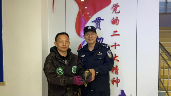 “空中闪电”受伤坠地   城阳警民携手救助