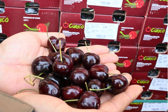 车厘子成年货新宠，青岛即墨冬日水果市场销售火爆