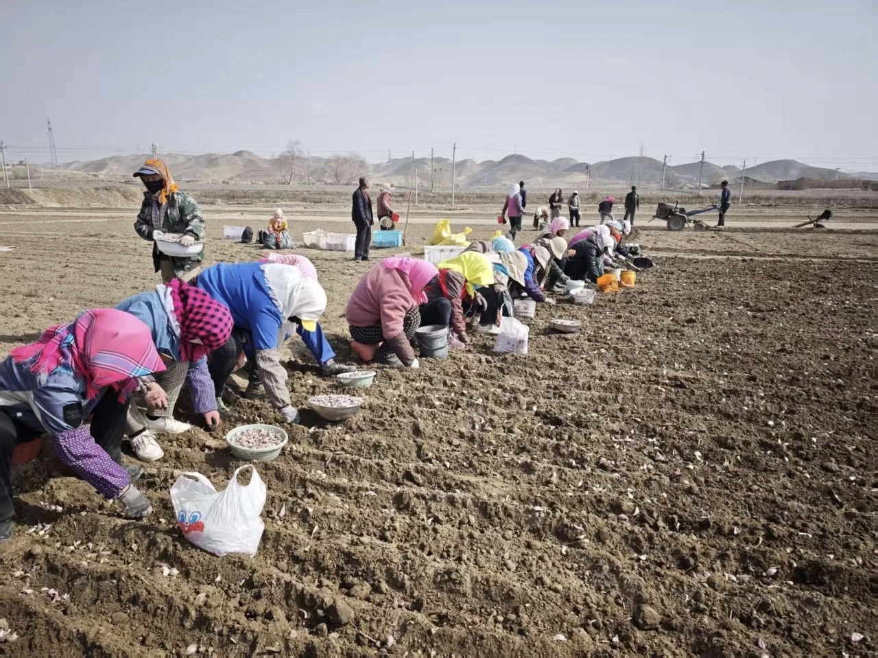 甘肃永登县：靠前监督守好“责任田”精准发力护航春耕忙