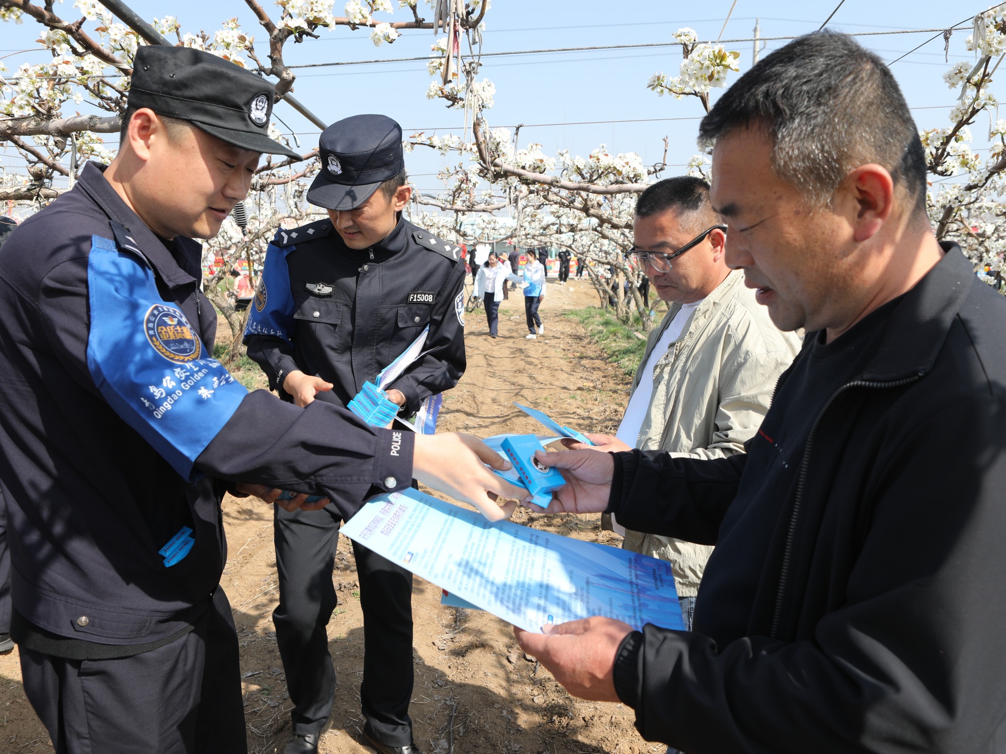 花香伴法韵  梨乡“警”色美 青岛莱西市公安局金盾志愿者安全宣传走进“梨花节”