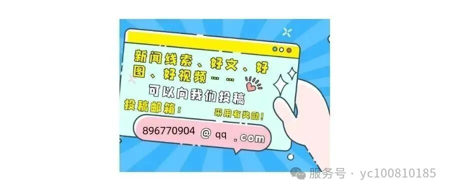 青岛市民中心服务专区启用，同步发布高校毕业生服务“一类事”