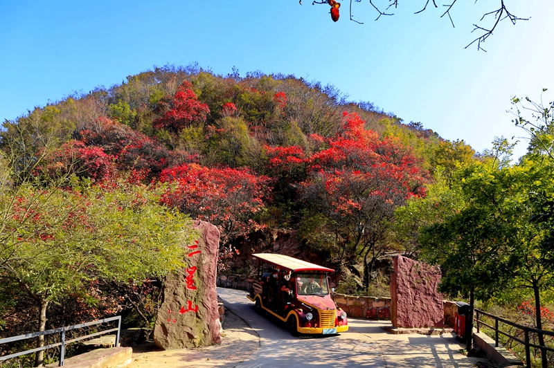 “太行红叶红  九龙峡最浓”九龙峡红叶已经红了